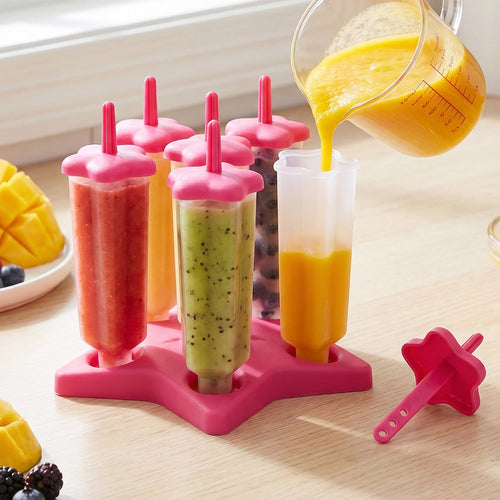 BPA-Free Plastic Ice Cream Molds with Lids SET OF - 6